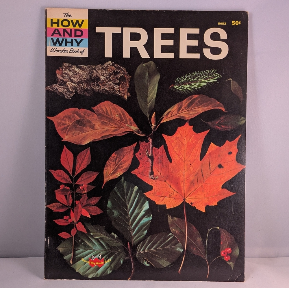 Vintage The How And Why Wonder Book of Trees